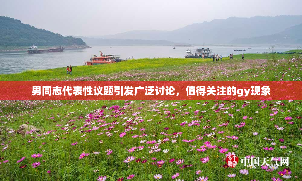男同志代表性议题引发广泛讨论，值得关注的gy现象