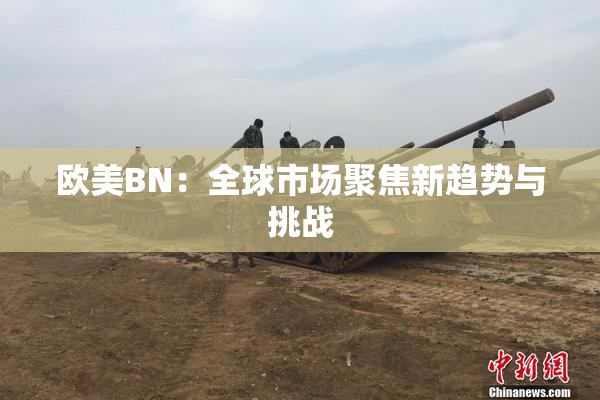 欧美BN：全球市场聚焦新趋势与挑战