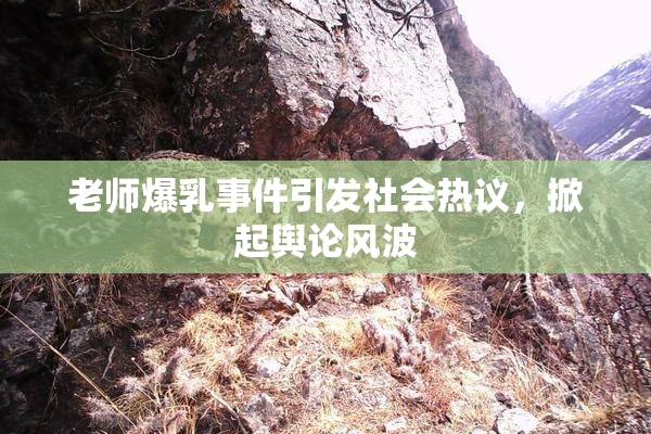 老师爆乳事件引发社会热议，掀起舆论风波
