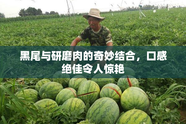 黑尾与研磨肉的奇妙结合，口感绝佳令人惊艳