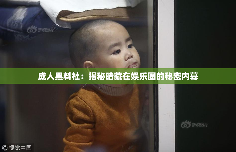 成人黑料社：揭秘暗藏在娱乐圈的秘密内幕
