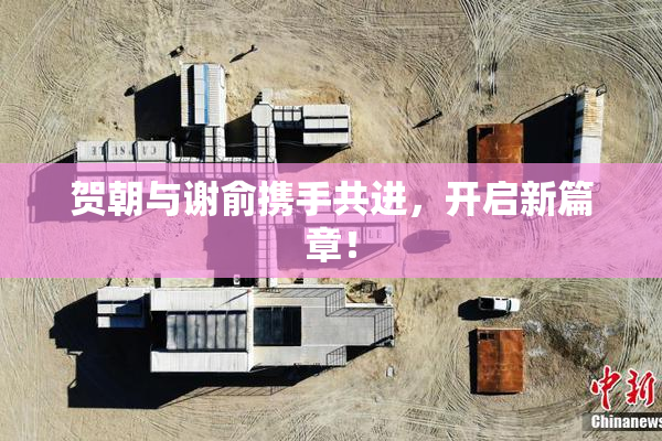 贺朝与谢俞携手共进，开启新篇章！