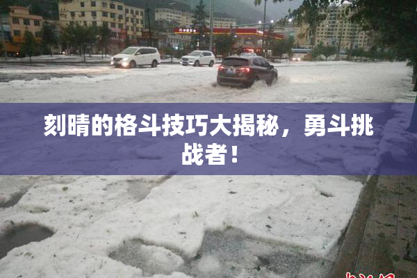 刻晴的格斗技巧大揭秘，勇斗挑战者！
