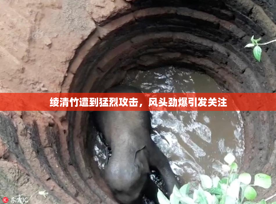 绫清竹遭到猛烈攻击，风头劲爆引发关注
