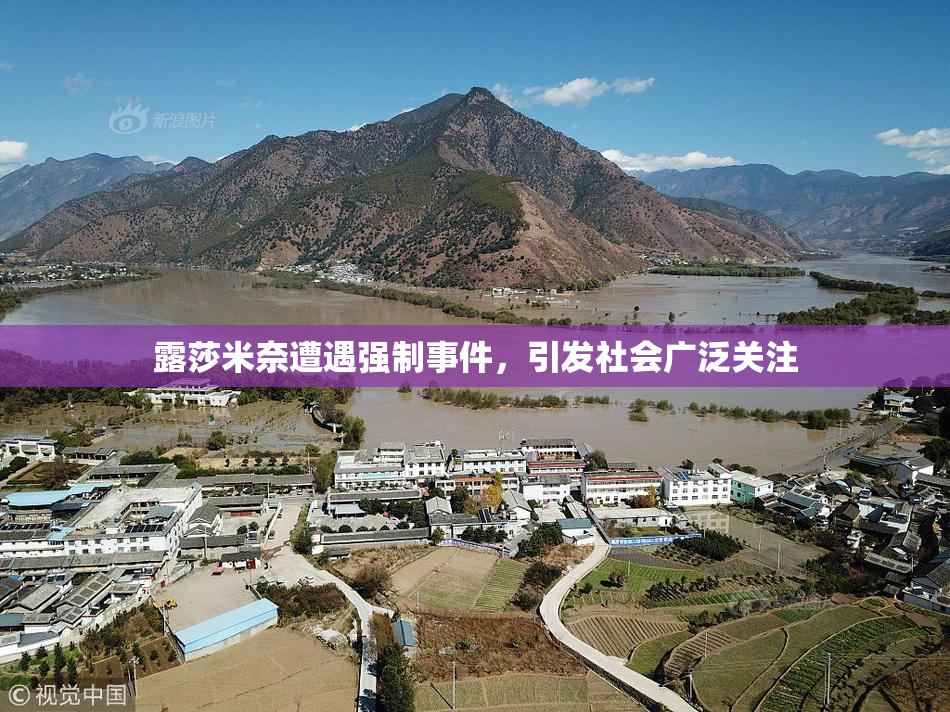 露莎米奈遭遇强制事件，引发社会广泛关注