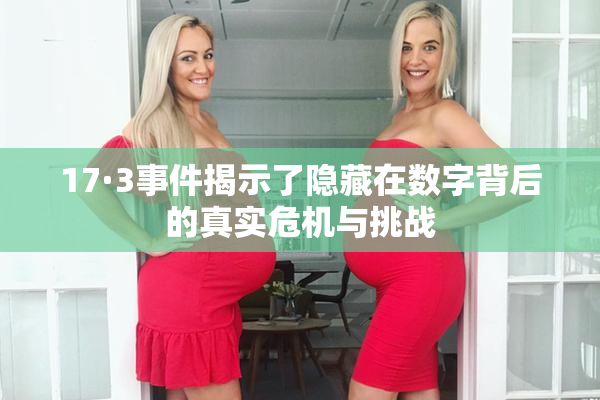17·3事件揭示了隐藏在数字背后的真实危机与挑战