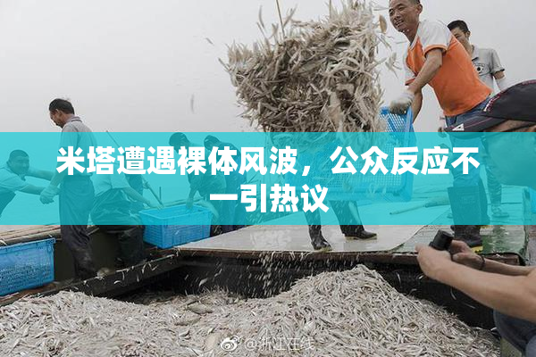 米塔遭遇裸体风波，公众反应不一引热议