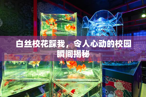 白丝校花踩我，令人心动的校园瞬间揭秘