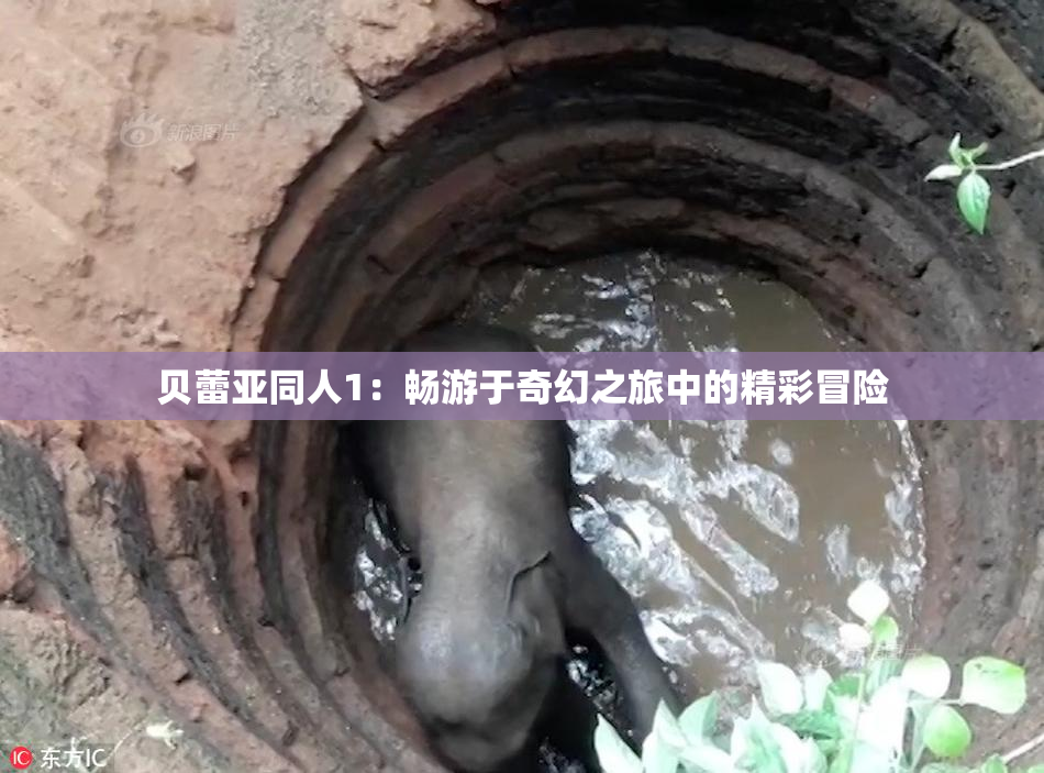 贝蕾亚同人1：畅游于奇幻之旅中的精彩冒险