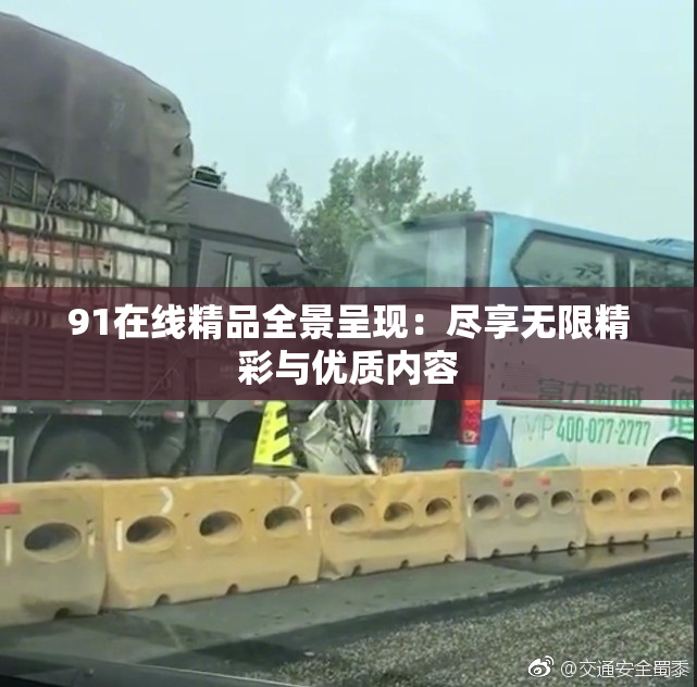 91在线精品全景呈现：尽享无限精彩与优质内容