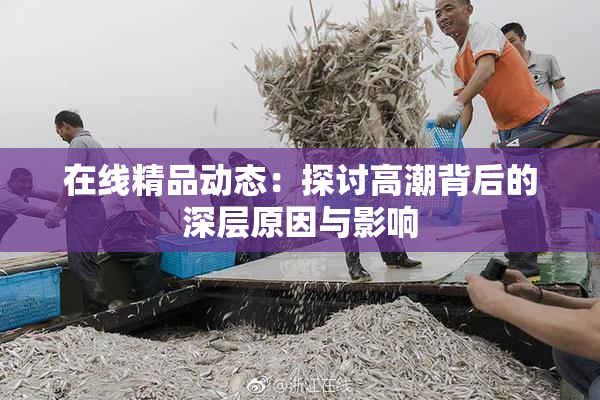 在线精品动态：探讨高潮背后的深层原因与影响