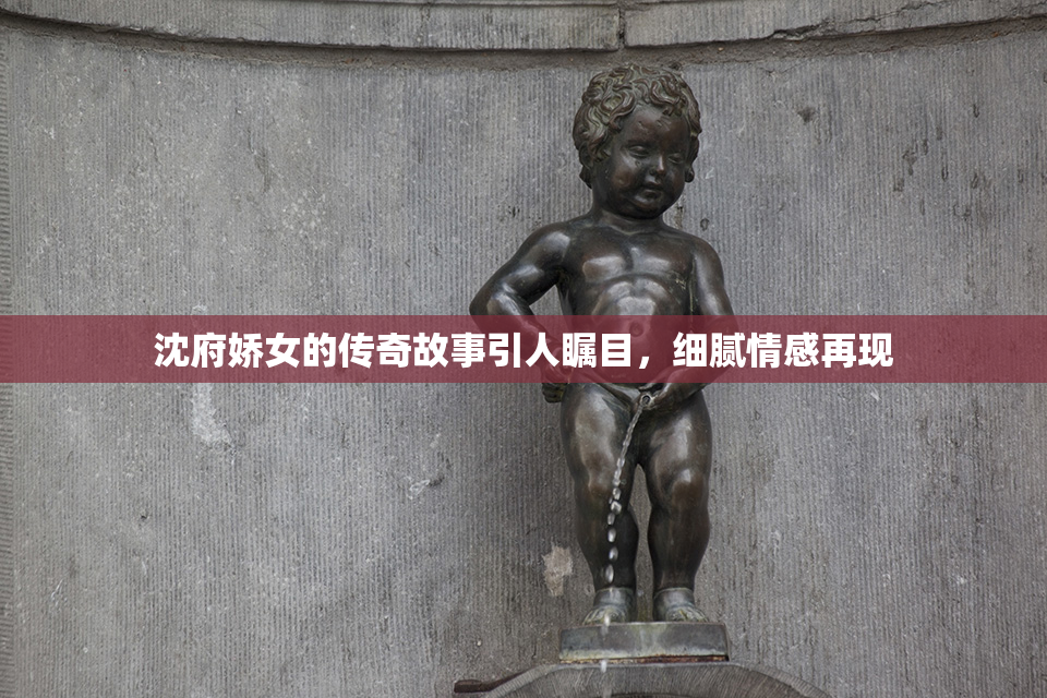 沈府娇女的传奇故事引人瞩目，细腻情感再现