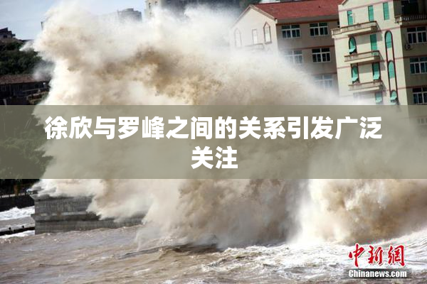 徐欣与罗峰之间的关系引发广泛关注