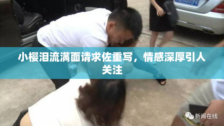 小樱泪流满面请求佐重写，情感深厚引人关注