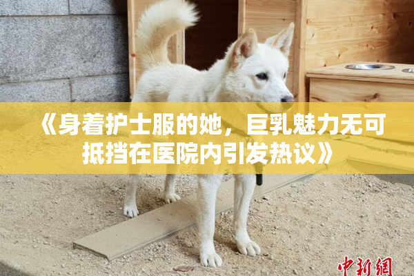 《身着护士服的她，巨乳魅力无可抵挡在医院内引发热议》