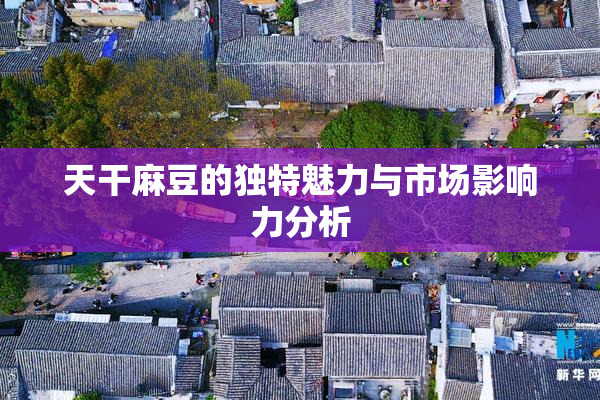 天干麻豆的独特魅力与市场影响力分析