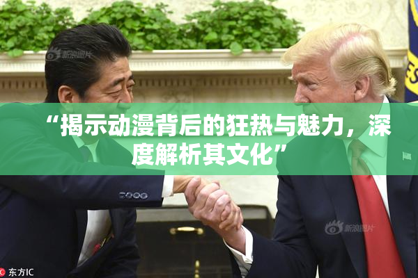 “揭示动漫背后的狂热与魅力，深度解析其文化”