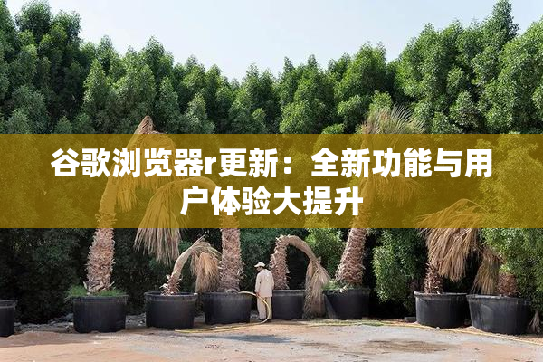 谷歌浏览器r更新：全新功能与用户体验大提升