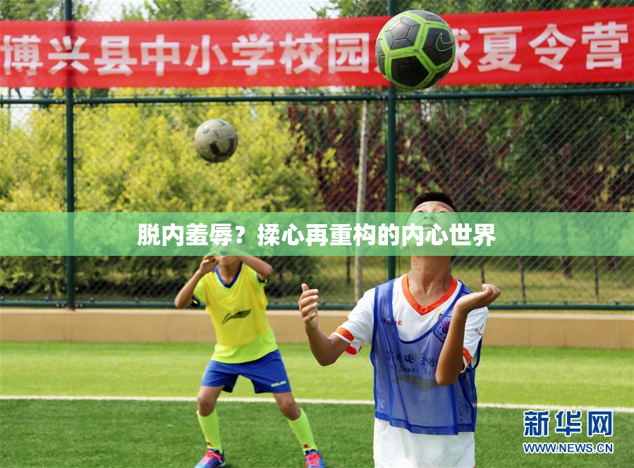 脱内羞辱？揉心再重构的内心世界
