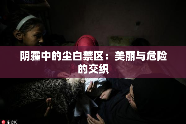 阴霾中的尘白禁区：美丽与危险的交织