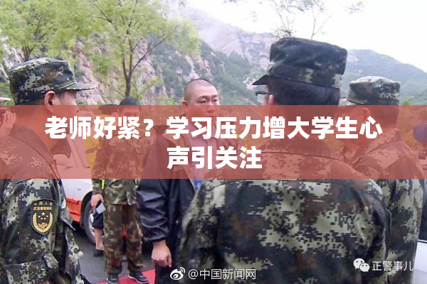 老师好紧？学习压力增大学生心声引关注
