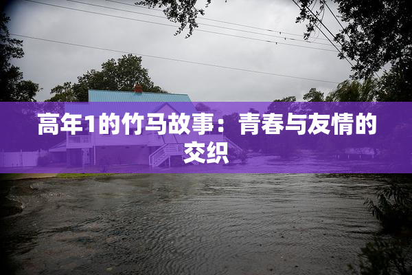 高年1的竹马故事：青春与友情的交织