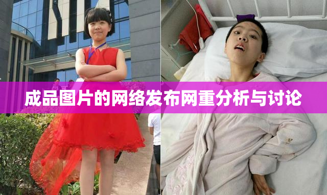 成品图片的网络发布网重分析与讨论