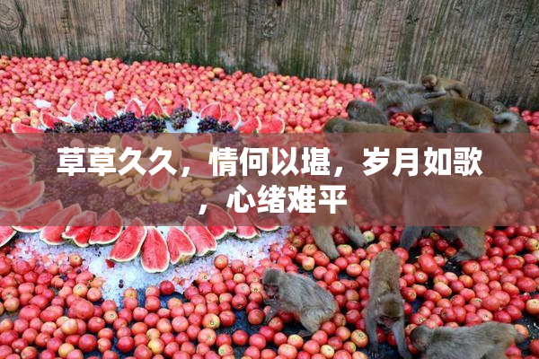 草草久久，情何以堪，岁月如歌，心绪难平