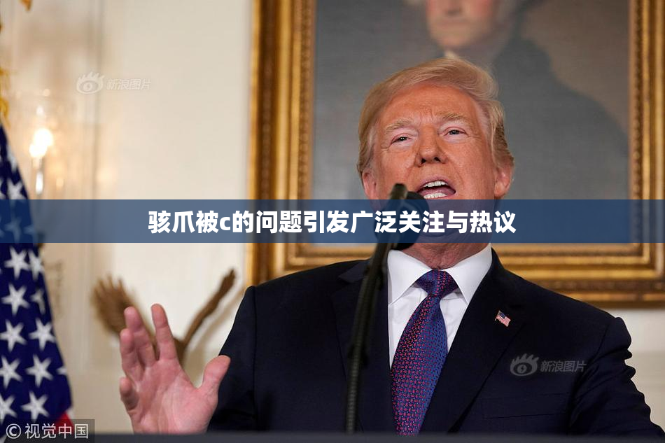 骇爪被c的问题引发广泛关注与热议