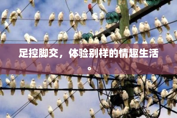 足控脚交，体验别样的情趣生活。