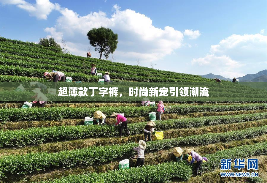 超薄款丁字裤，时尚新宠引领潮流
