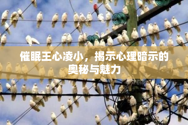 催眠王心凌小，揭示心理暗示的奥秘与魅力