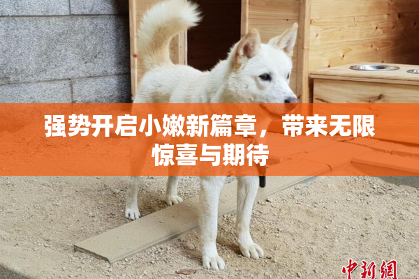 强势开启小嫩新篇章，带来无限惊喜与期待