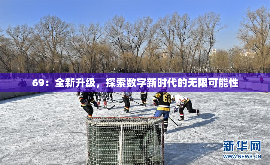 69：全新升级，探索数字新时代的无限可能性