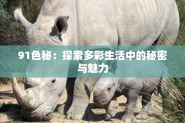 91色秘：探索多彩生活中的秘密与魅力