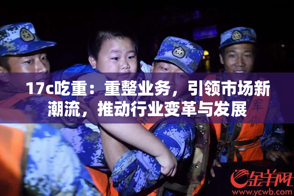 17c吃重：重整业务，引领市场新潮流，推动行业变革与发展