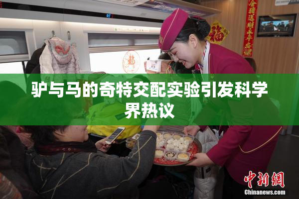 驴与马的奇特交配实验引发科学界热议