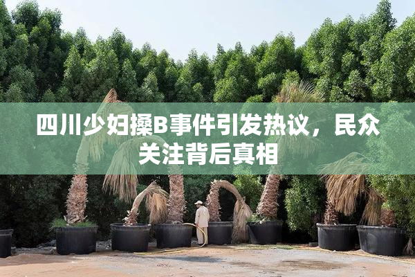 四川少妇搡B事件引发热议，民众关注背后真相
