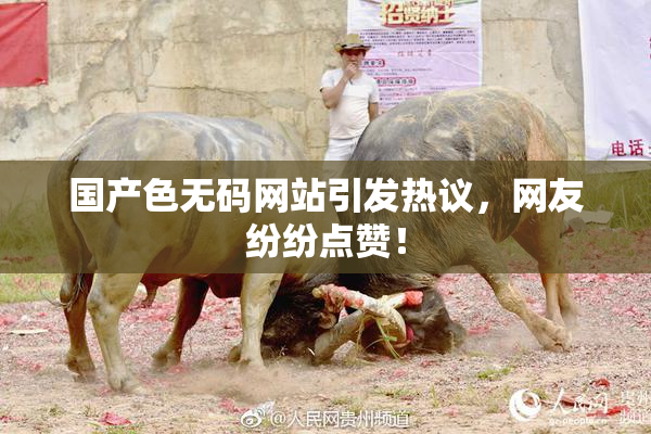 国产色无码网站引发热议，网友纷纷点赞！