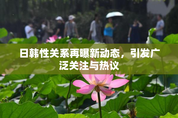 日韩性关系再曝新动态，引发广泛关注与热议