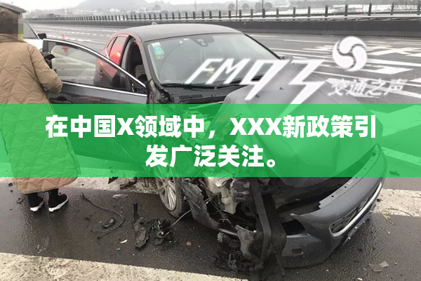 在中国X领域中，XXX新政策引发广泛关注。