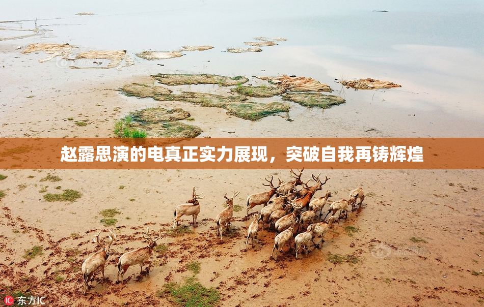 赵露思演的电真正实力展现，突破自我再铸辉煌