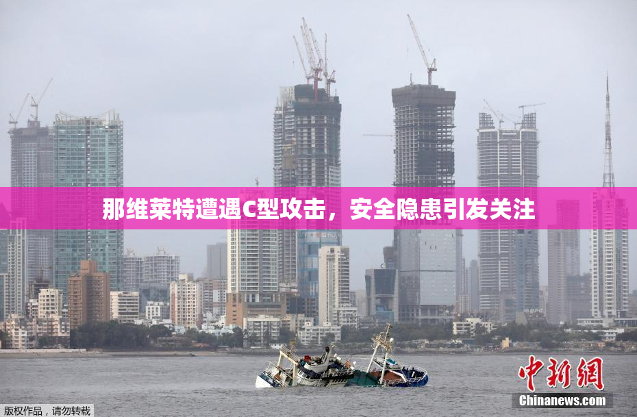 那维莱特遭遇C型攻击，安全隐患引发关注