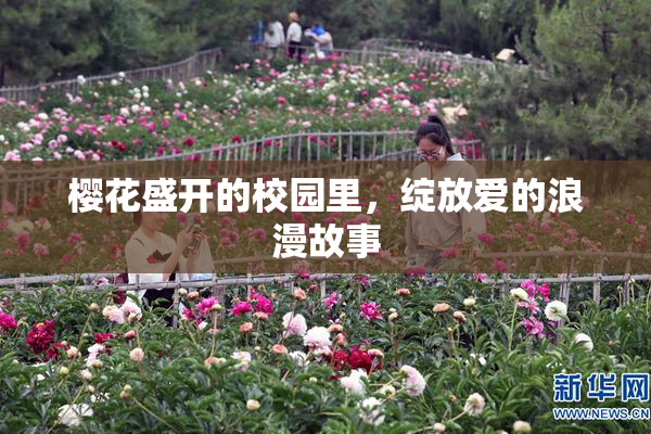 樱花盛开的校园里，绽放爱的浪漫故事