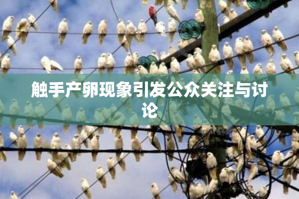 触手产卵现象引发公众关注与讨论
