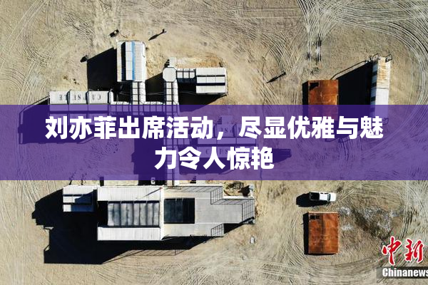 刘亦菲出席活动，尽显优雅与魅力令人惊艳