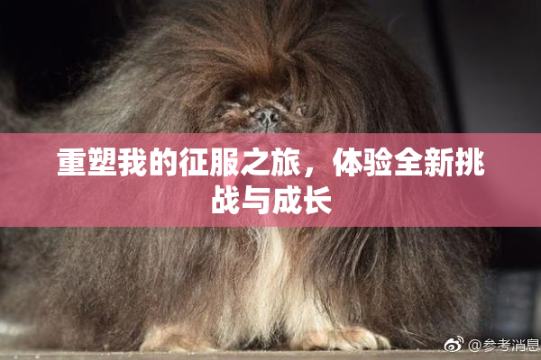 重塑我的征服之旅，体验全新挑战与成长