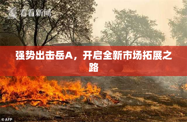 强势出击岳A，开启全新市场拓展之路