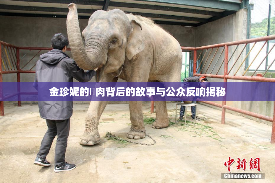 金珍妮的婬肉背后的故事与公众反响揭秘