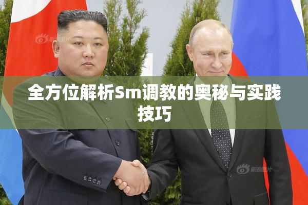 全方位解析Sm调教的奥秘与实践技巧